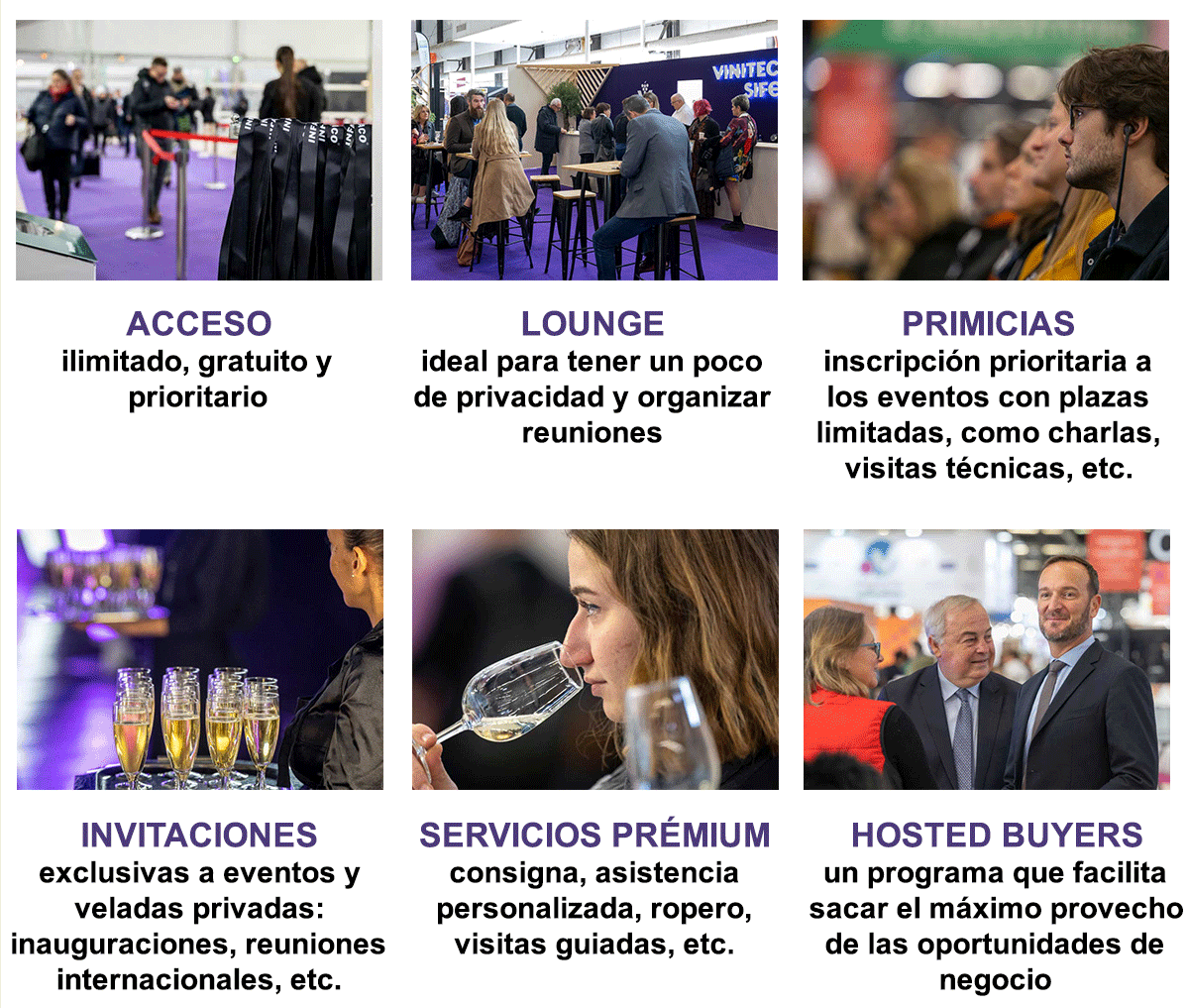 6 EXCLUSIVE ADVANTAGES